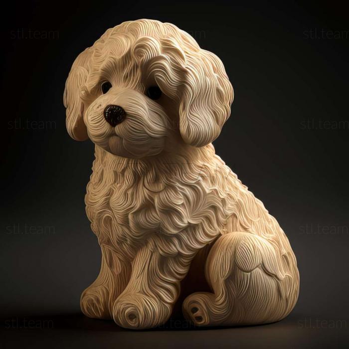 3D модель Собака породи гаванський бішон (STL)